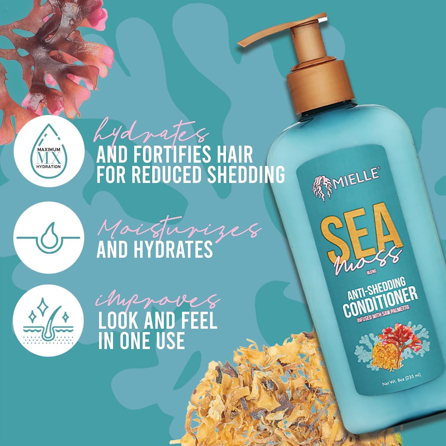 imageMielle Organics Sea Moss AntiShedding Hair Conditioner Hydrating Conditioner for Dry Hair Fortifies Strands for Reduced Shedding Improves Look and Feel with One Use 8 Oz8 Fl Oz Pack of 1