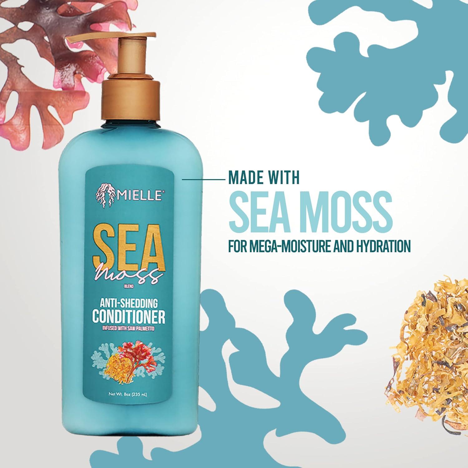 imageMielle Organics Sea Moss AntiShedding Hair Conditioner Hydrating Conditioner for Dry Hair Fortifies Strands for Reduced Shedding Improves Look and Feel with One Use 8 Oz8 Fl Oz Pack of 1